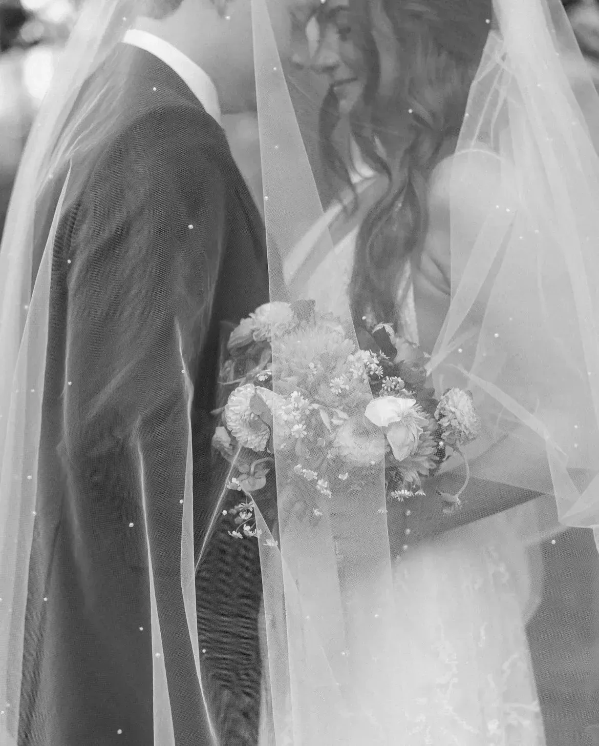 Gallery Image #slidesGrid30