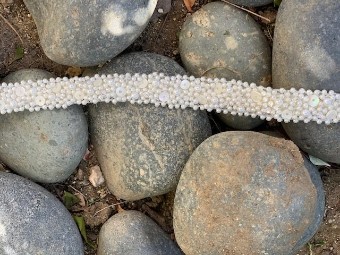 Erica Koesler Wedding Accessories Style: B142 #0 default Ivory thumbnail