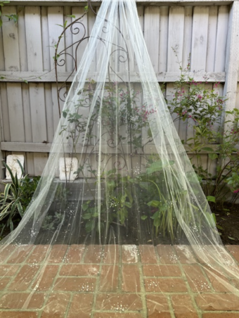 Erica Koesler Wedding Accessories Style: 143-110 #0 default Ivory thumbnail