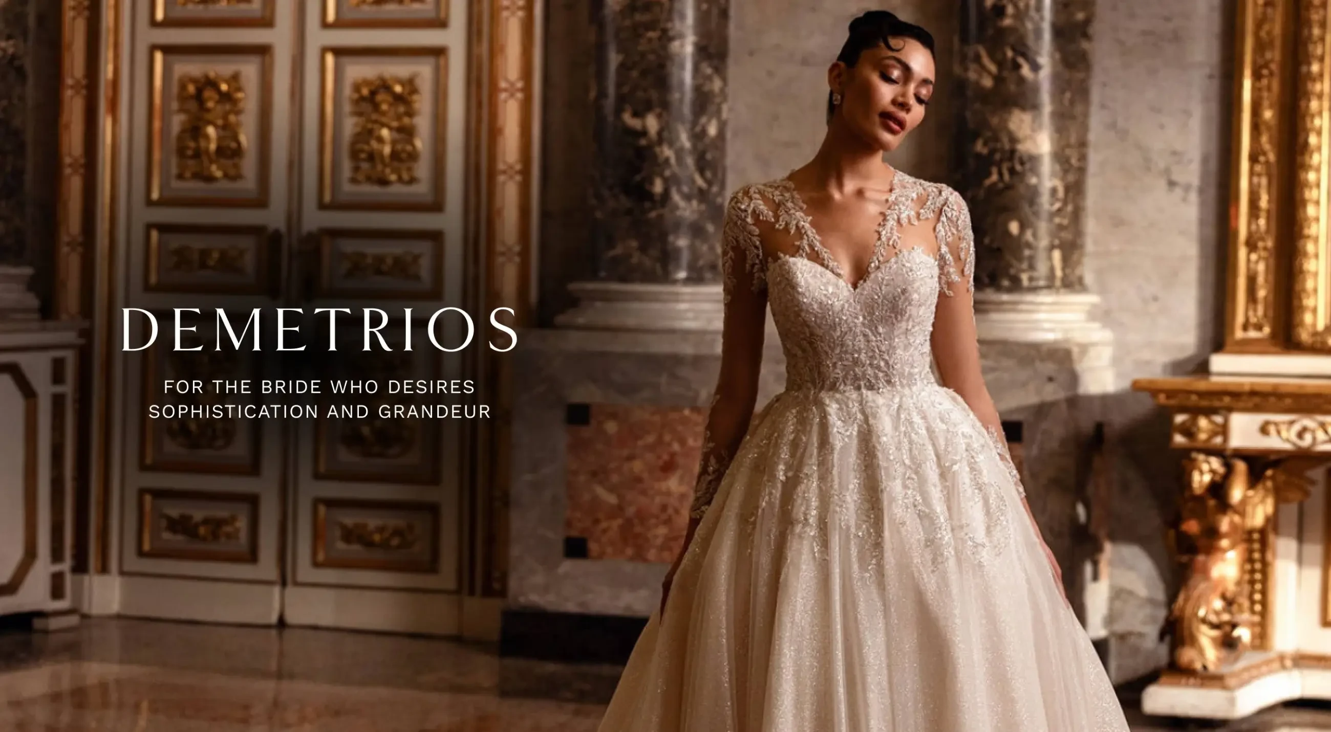 Demetrios Desktop Banner