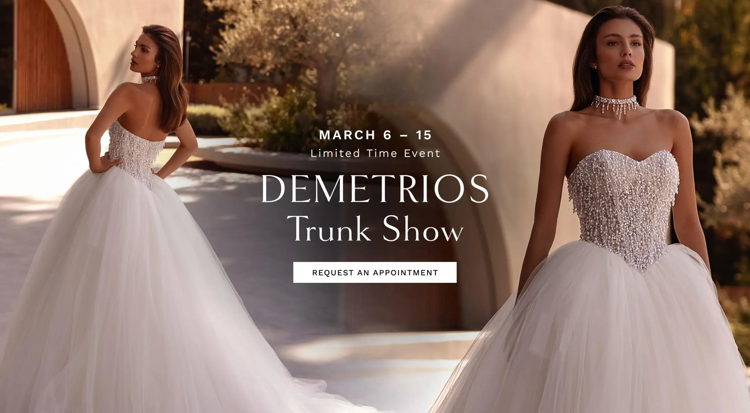 Demetrios Trunk Show Banner
