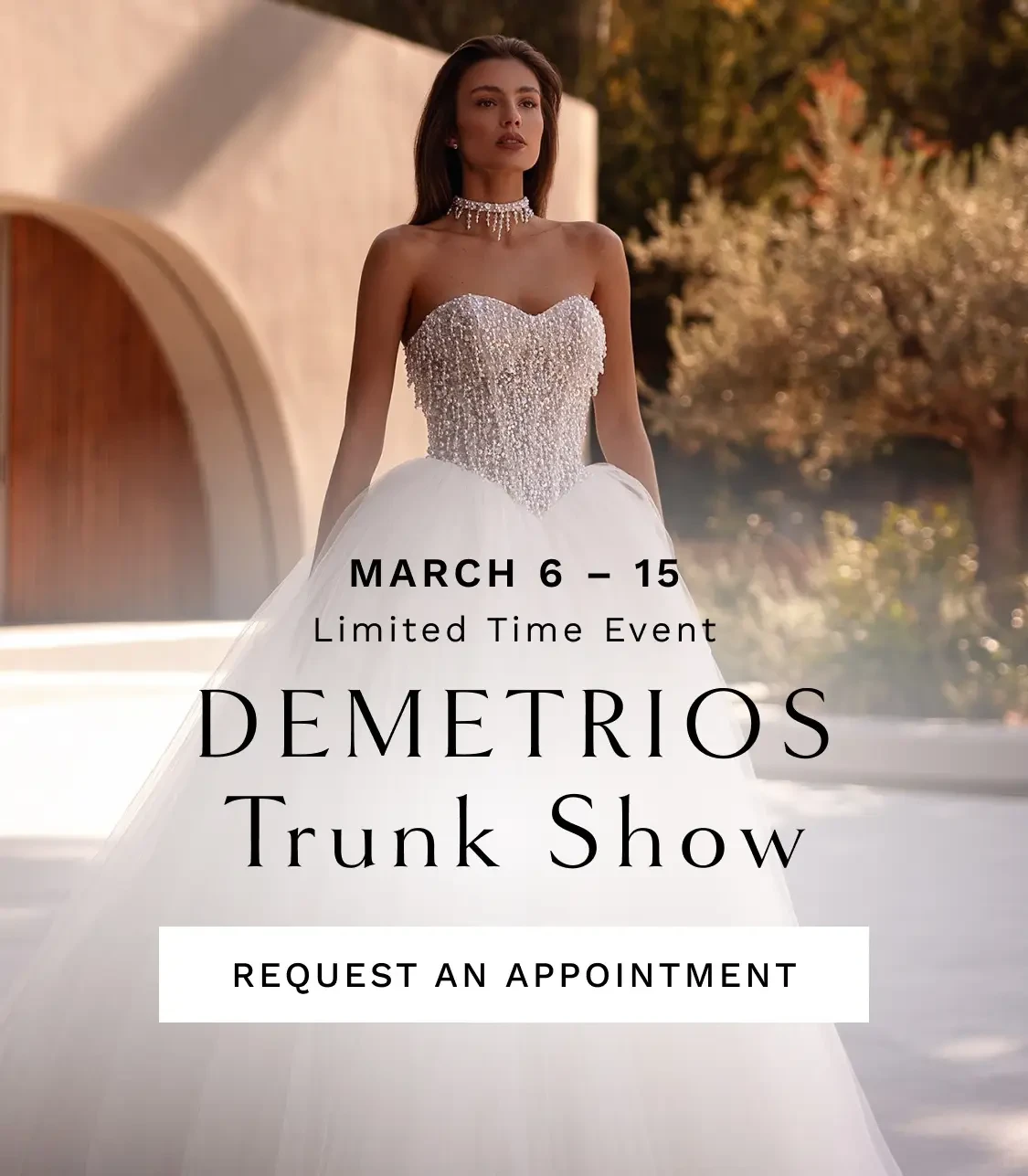 Demetrios Trunk Show Banner