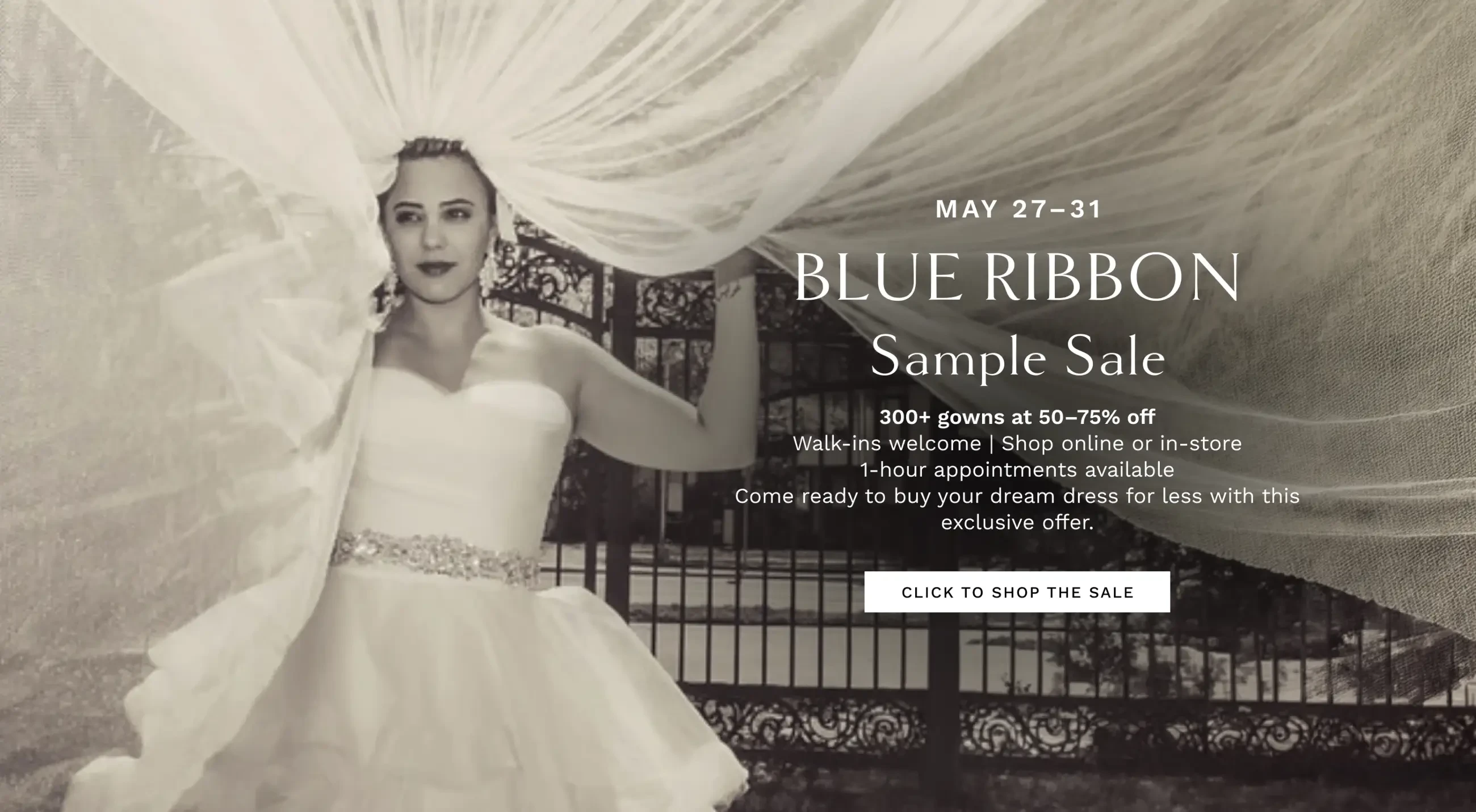 Blue Ribbon Sample Sale Desktop Banner