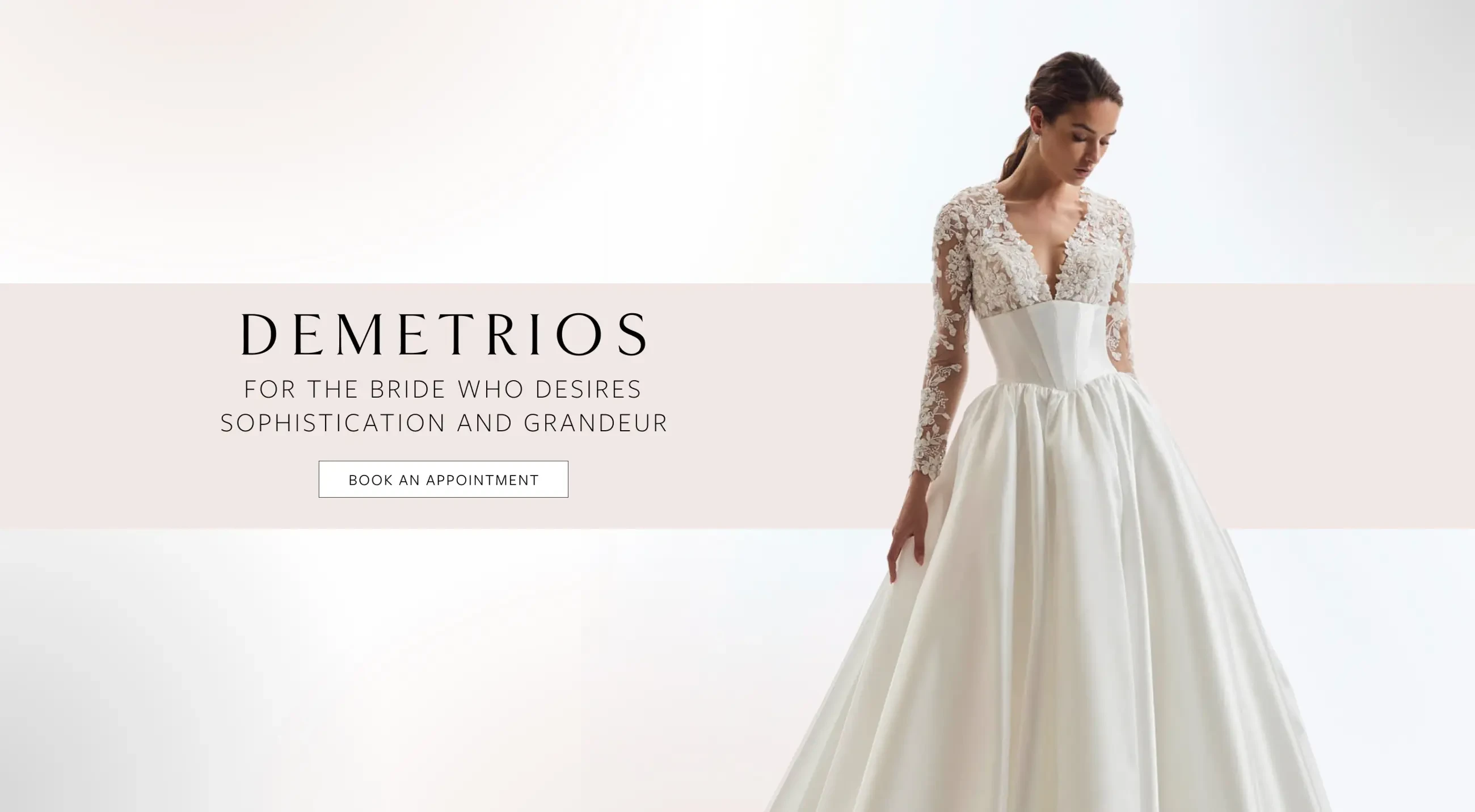 Demetrios Desktop Banner